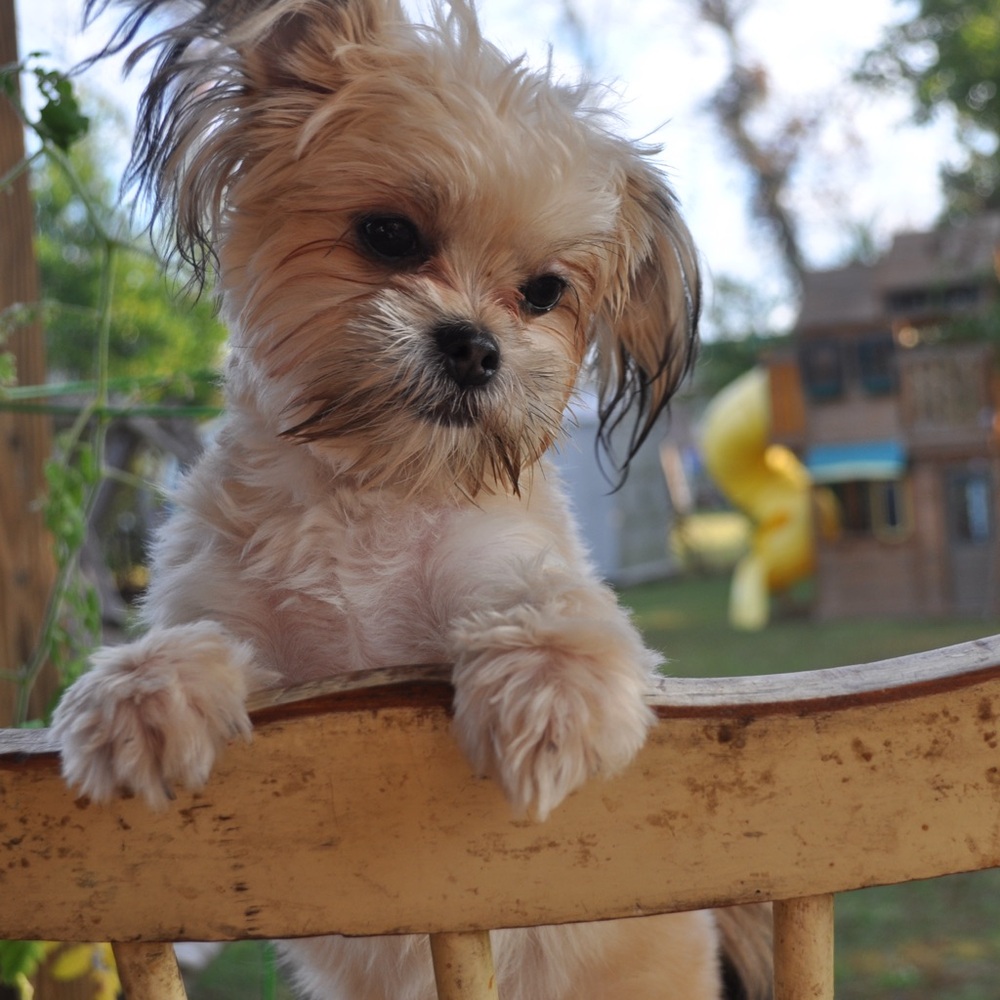 Meet your Posher, Becky